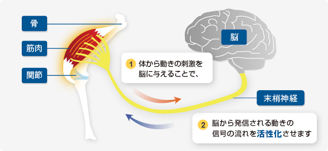 PNFの仕組み